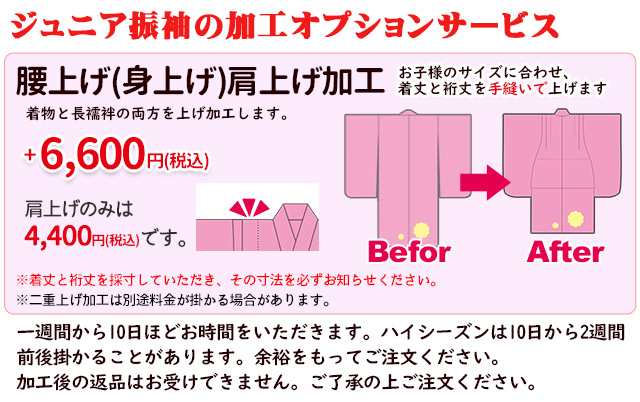 オプション価格のご案内