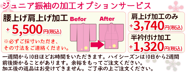 オプション価格のご案内