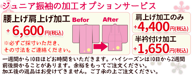 オプション価格のご案内