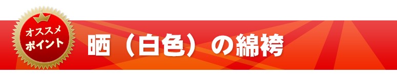 重厚な風合いを持った日本製の剣道袴