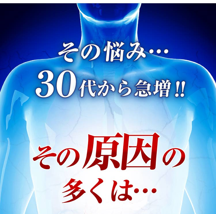 公式 プロキオン エールマカ 30日分 男性 活力ケア 厳選配合 サプリメント 持続力 サプリ 即効性 性力 活力剤 独創的 日本製