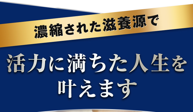 公式】プロキオン 指定医薬部外品 30日分 男性 活力ケア 厳選配合 即効性 サプリメント サプリ 持続力 活力剤 日本製 性力 :procyon:株式会社京福堂  - 通販 - Yahoo!ショッピング