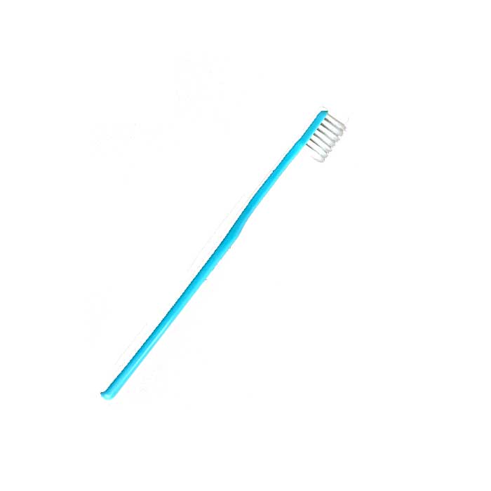 キョーワの ツルピカ歯ブラシ 1本より toothbrush｜kyouwa-print｜03