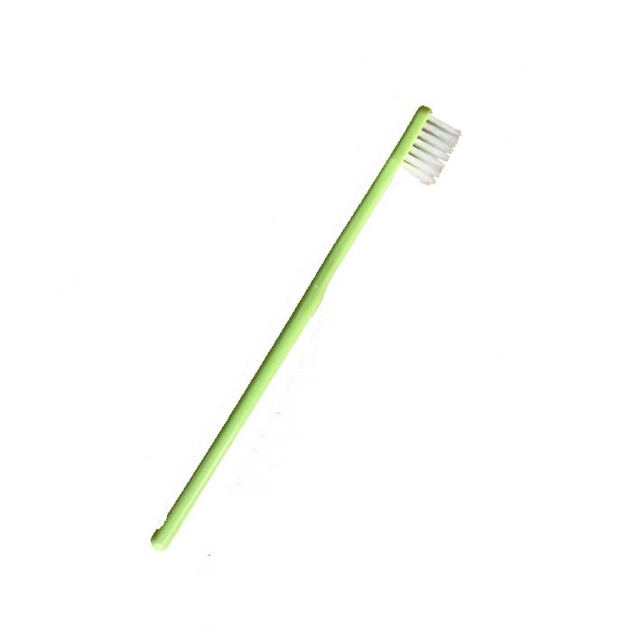 キョーワの ツルピカ歯ブラシ 1本より toothbrush