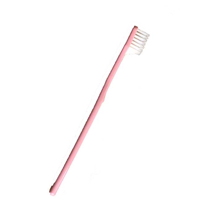 キョーワの ツルピカ歯ブラシ 1本より toothbrush｜kyouwa-print｜04