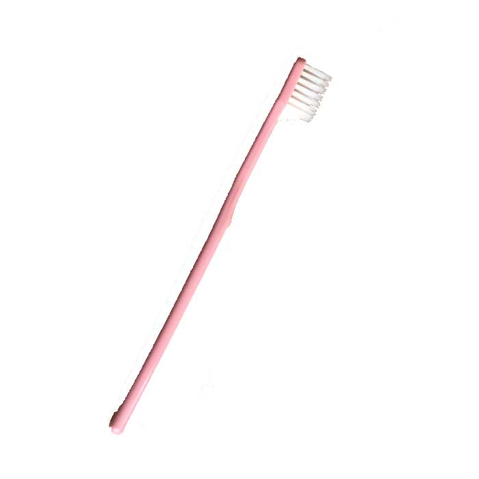 キョーワの ツルピカ歯ブラシ 1本より toothbrush