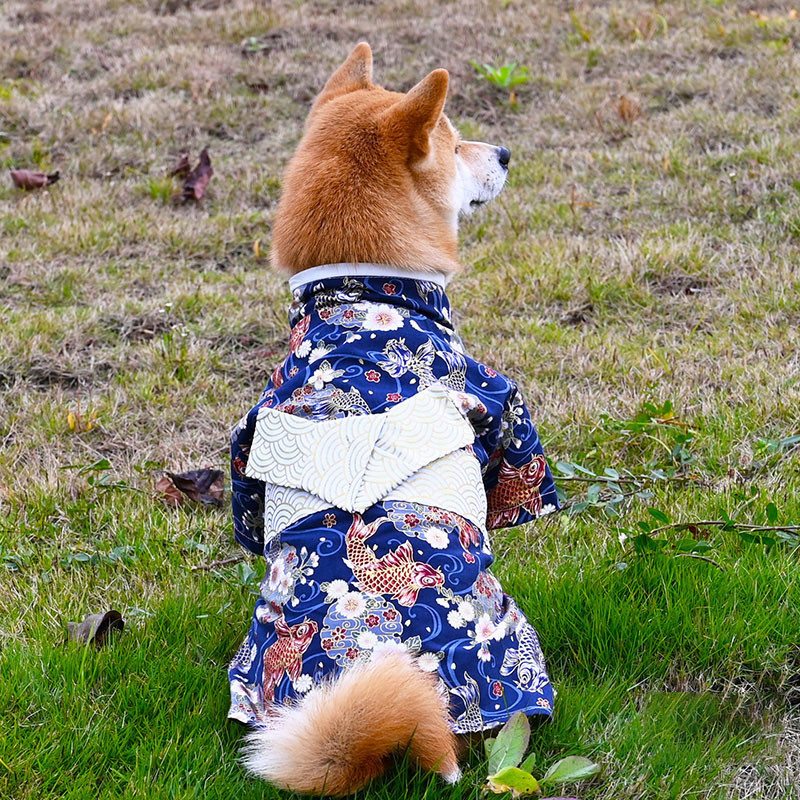 トップス 正月 ダックス ドッグウェア 犬服 和柄トイプードル 浴衣 七五三 羽織袴 小型犬 中型犬 猫 ペット 年賀状 洋服 結婚式 お祝い  :62dec21hfgf08:協和屋 - 通販 - Yahoo!ショッピング