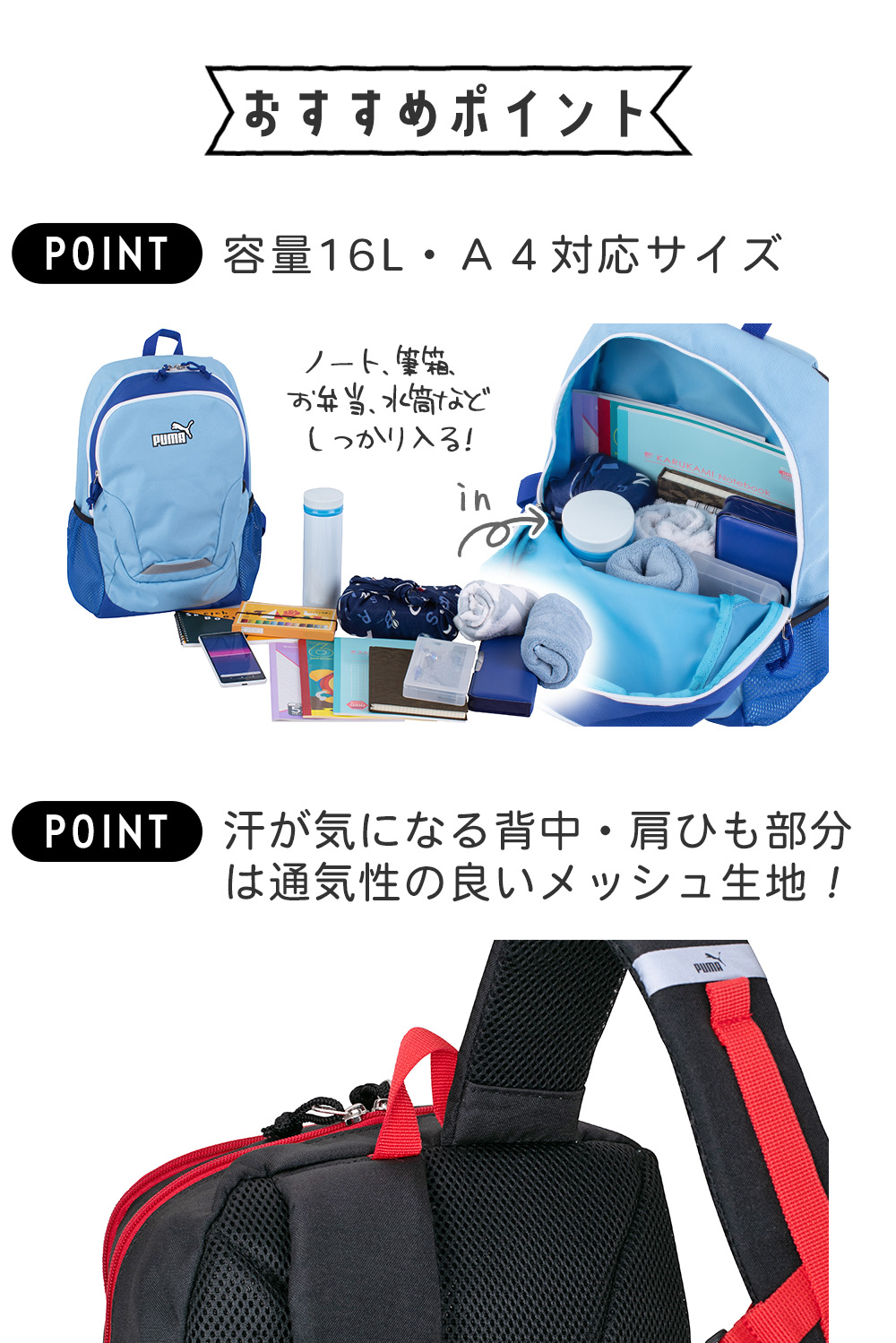 容量16L・Ａ４対応サイズ　汗が気になる背中・肩ひも部分は通気性の良いメッシュ生地！