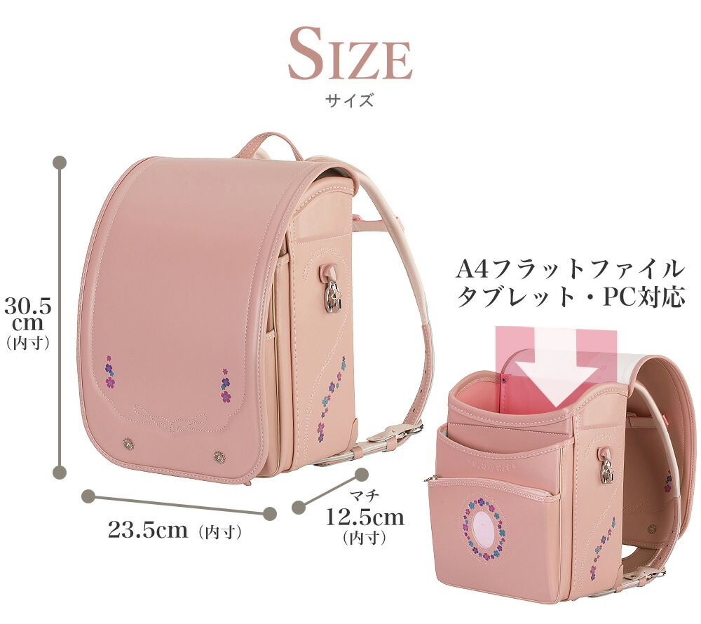 サイズ