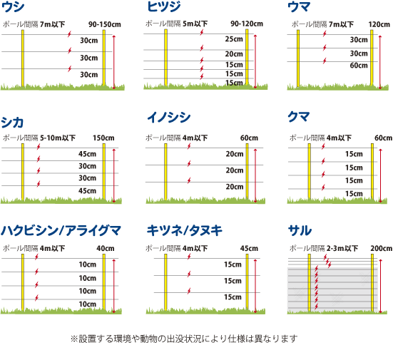 ポールの適用動物
