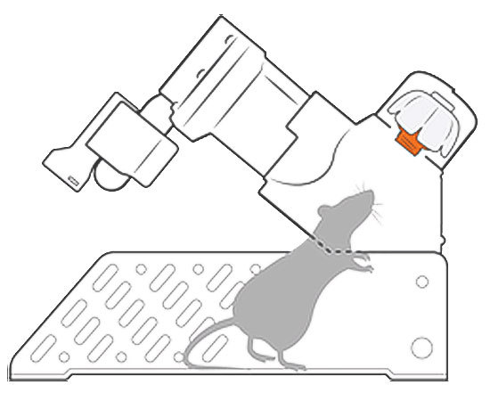 ねずみCo2ノックアウトシステム ネズミ駆除に画期的なトラップ 