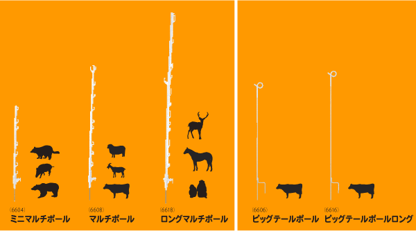 ポールの適用動物