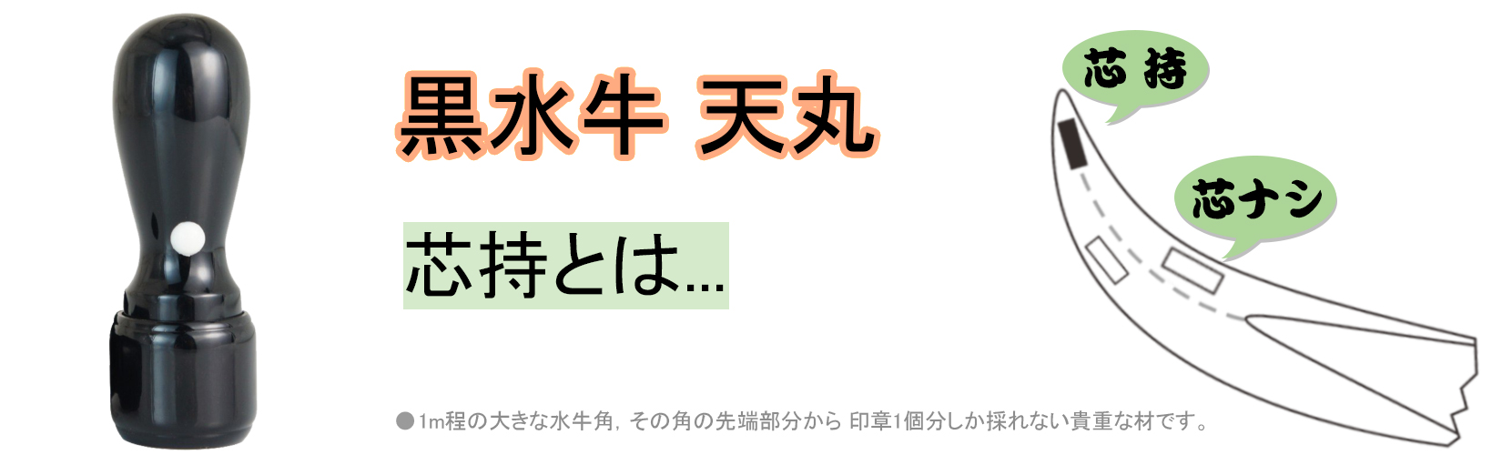 天丸