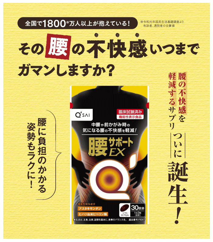 かず　リピートご購入様限定でお値引き価格 楽天市場】＼クーポンで1000円OFF！／＼お札と小銭入れが同じ