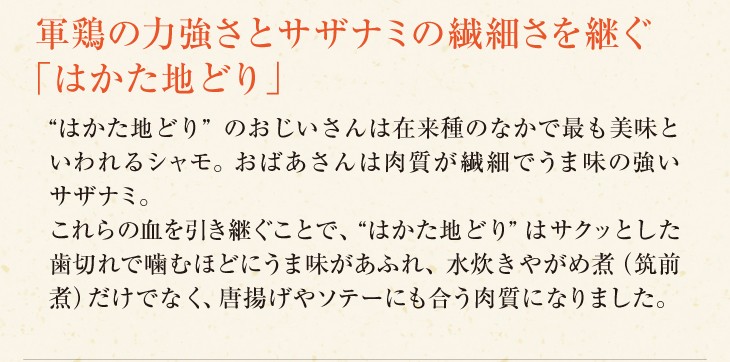 はかた地どり水炊きセット
