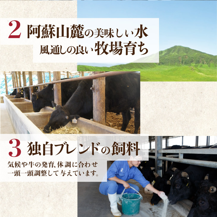 産地直送 【阿蘇 黒毛和牛（藤彩牛） A4 A5 藤彩牛 サーロイン ステーキ 200g×2枚】和牛  通販 のし化粧箱付き 贈答 御歳暮 冷凍 |  | 05