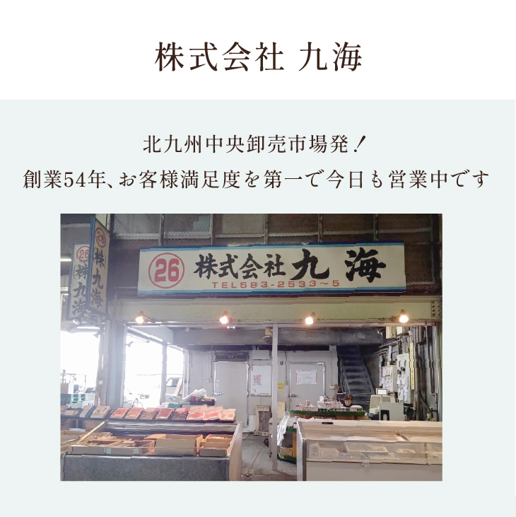 プレミアムサーモン 10切