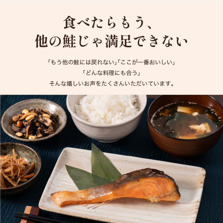 プレミアムサーモン 10切