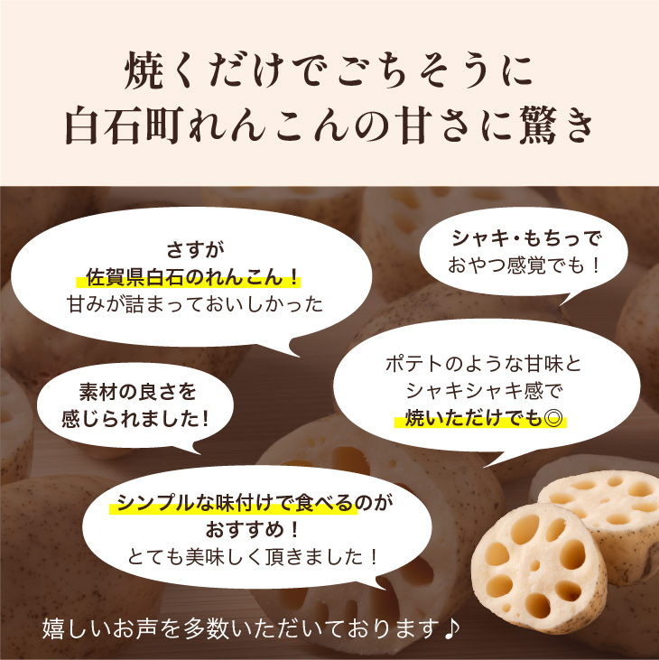 もちもちれんこん(フレッシュ)300g×6P入