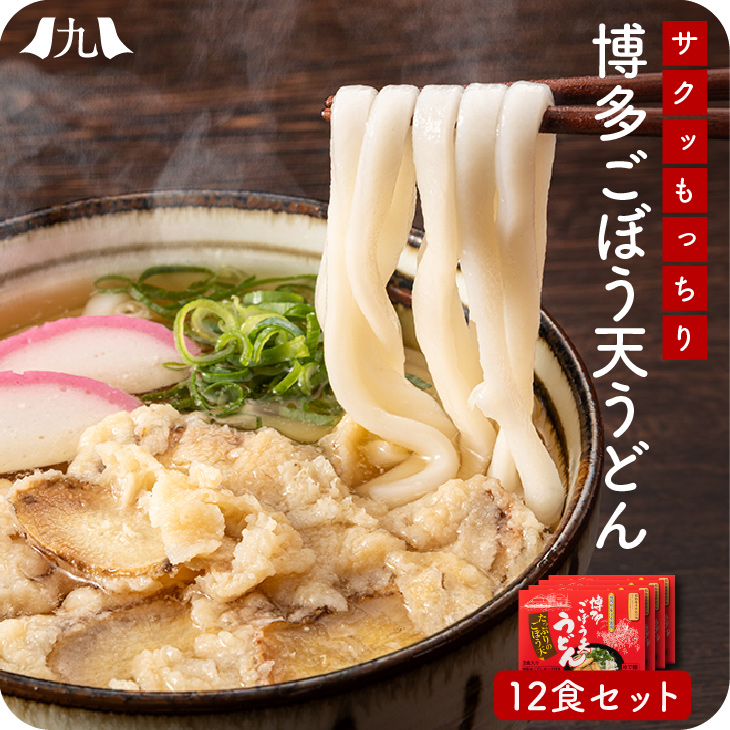 箱入 熨斗・包装OK「博多 ごぼう天うどん 12人前」（3人前セット