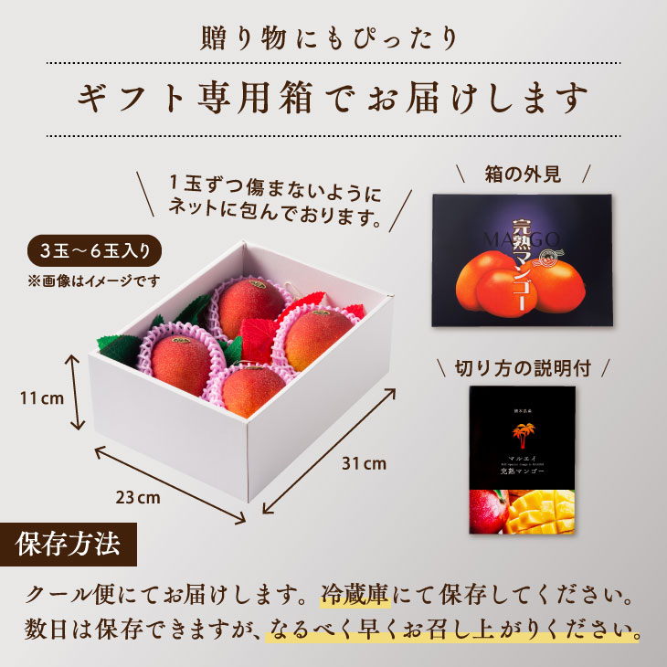 7月上旬から順次発送 訳アリマンゴー 約1.5kg（3玉〜6玉