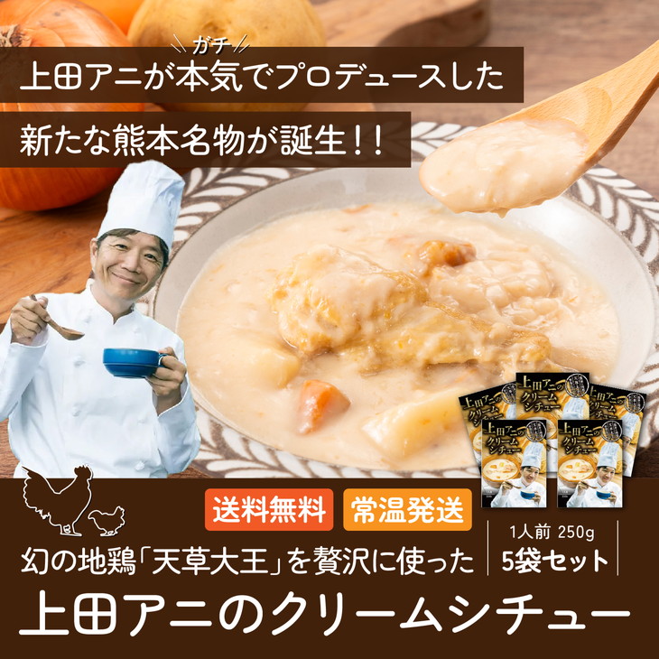産地直送【上田アニのクリームシチュー 5個セット】熊本 地鶏 国産