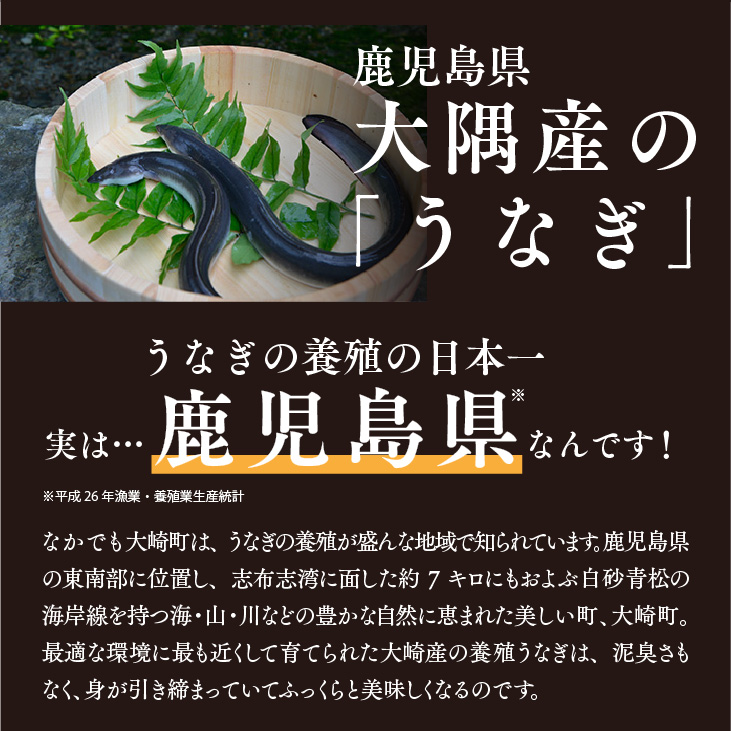 父の日限定【鹿児島県産 きざみうなぎ蒲焼 60g×10袋】日本 国産 鰻 ウナギ 土用丑の日 お礼 御祝 ギフト 贈答 送料無料｜kyushu-sanchoku｜09