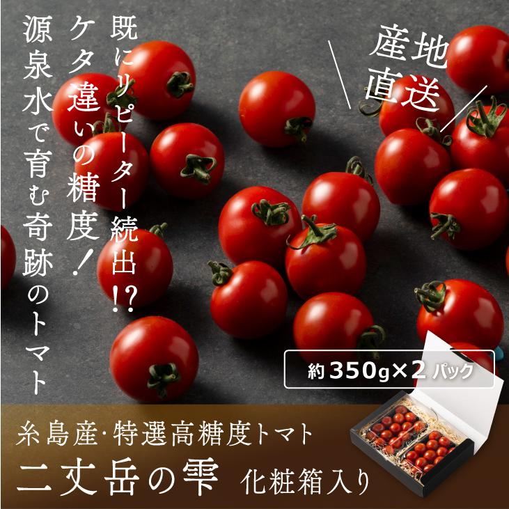 お中元 ギフト トマトの宝石箱 800g トマトの詰め合わせ  誕生日祝い 九州産 クール便