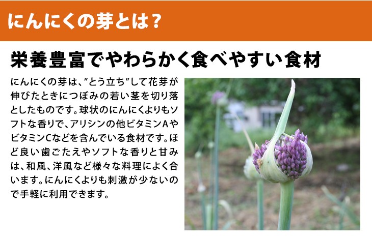 にんにくの芽 1kg