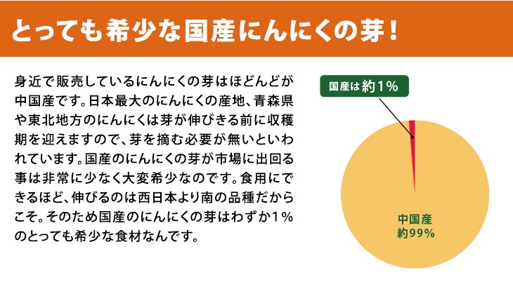 にんにくの芽 1kg