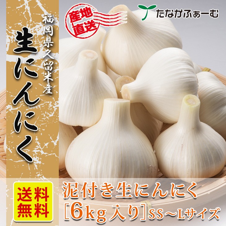 6月上旬順次発送】生にんにく 6kg（SS〜Lサイズ） 国産 にんにく 福岡