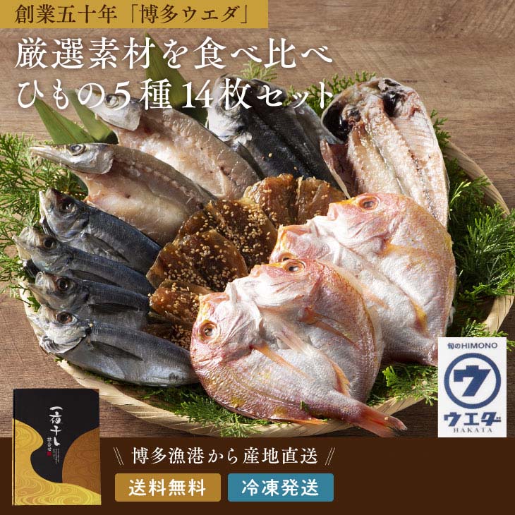 九州の一夜干しセット
