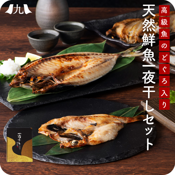 【のどぐろ入り天然鮮魚一夜干しセット】九州 お取り寄せ 干物 ひもの 食べ比べ 豪華 魚 お歳暮 ギフト 贈答 おつまみ 帰省暮 添加物不使用 無添加