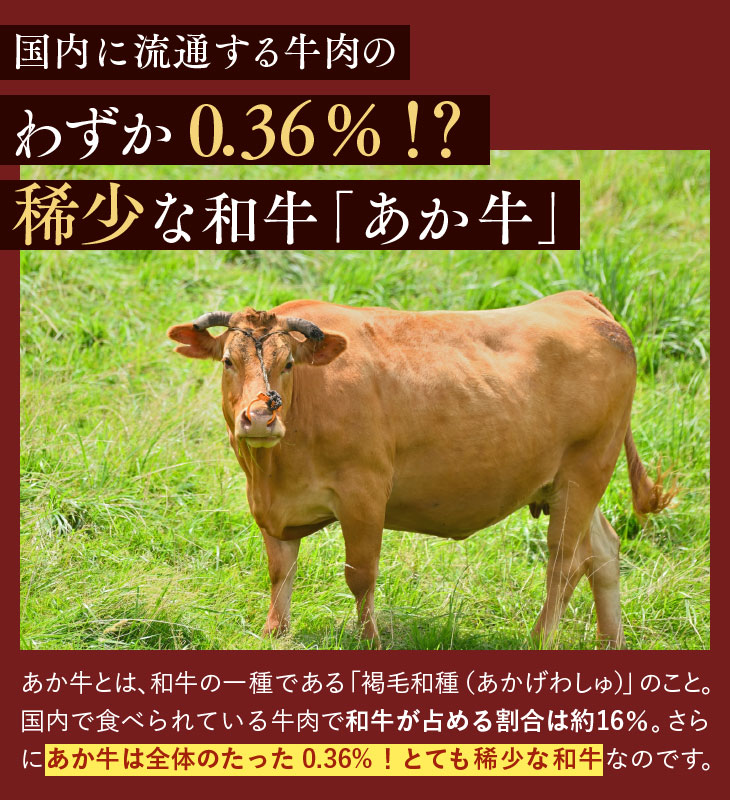 あか牛生ハンバーグ 4個入