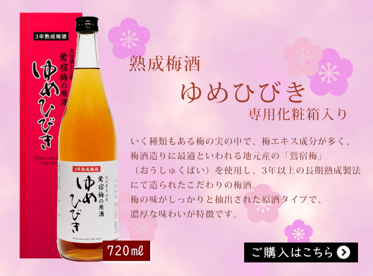 SALE／102%OFF】 おおやま夢工房 樽仕込高級梅酒 ゆめひびき 桐箱入 2度 500ml × 6本 ケース販売 日本 大分県 リキュール 梅酒  fucoa.cl