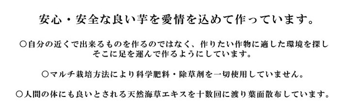 後藤農園 こだわりの自然薯 1.5kg (山芋)(じねんじょ)(大分県産)(包装不可)(代引き不可)  :yamaimo-002:九州焼酎CLUBsnapbee - 通販 - Yahoo!ショッピング