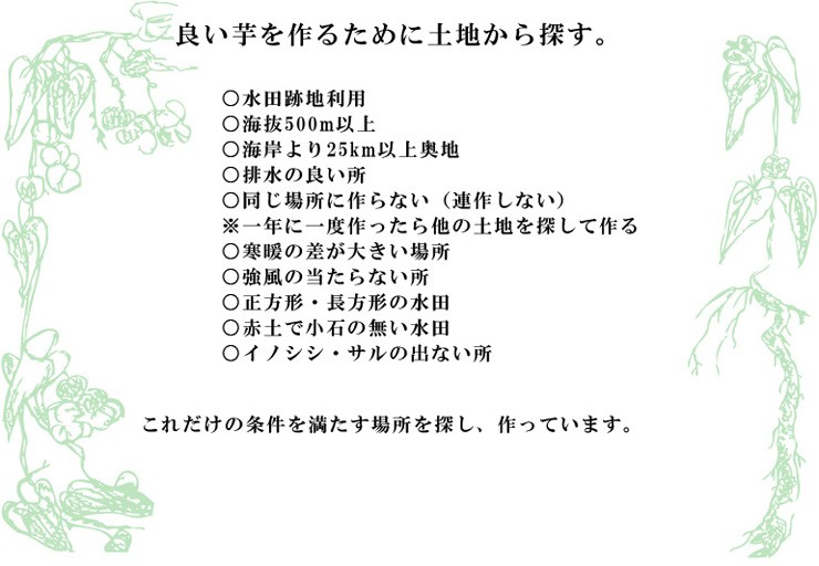 後藤農園 こだわりの自然薯 1.5kg (山芋)(じねんじょ)(大分県産)(包装不可)(代引き不可)  :yamaimo-002:九州焼酎CLUBsnapbee - 通販 - Yahoo!ショッピング