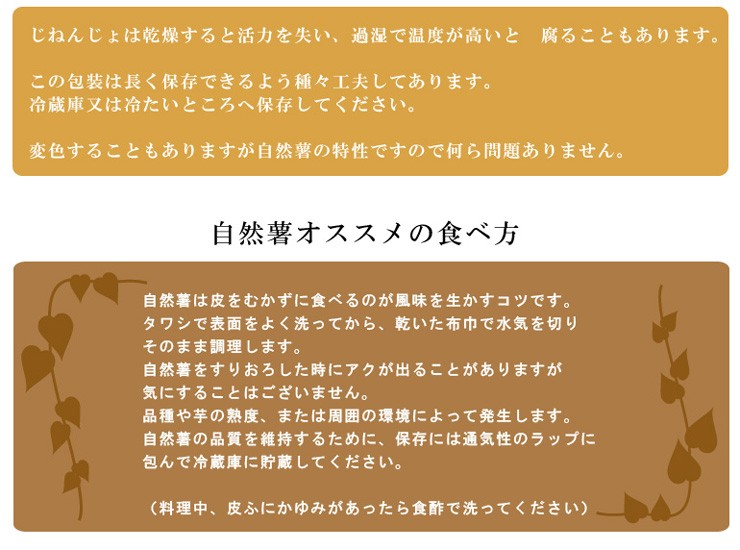 後藤農園 こだわりの自然薯 1.5kg (山芋)(じねんじょ)(大分県産)(包装不可)(代引き不可)  :yamaimo-002:九州焼酎CLUBsnapbee - 通販 - Yahoo!ショッピング