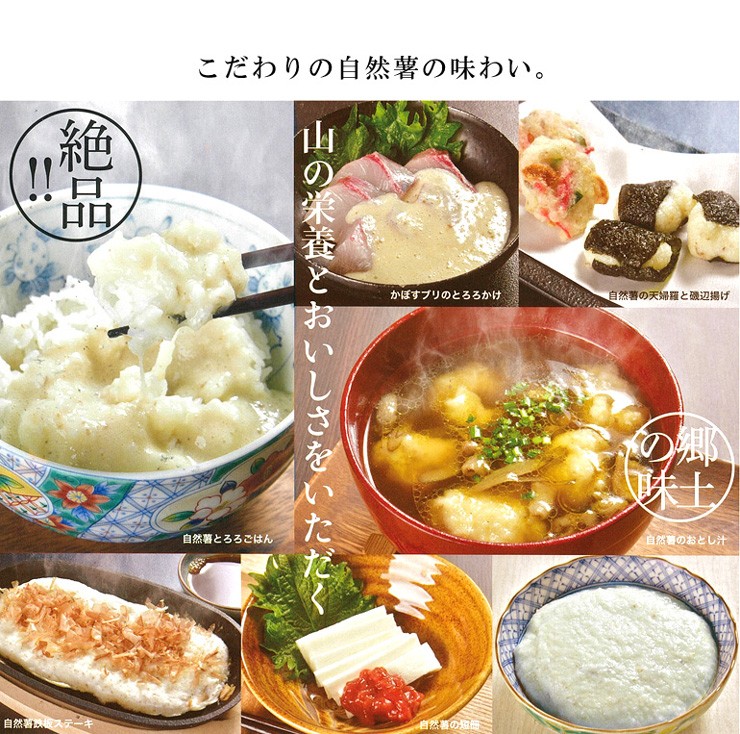 今だけポイント2倍 こだわりの自然薯 1kg 王者の自然薯 後藤農園