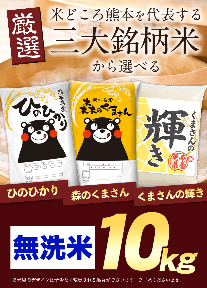 令和7年産 お米 熊本県産三大ブランド米 選べる 無洗米 10kg 送料無料 