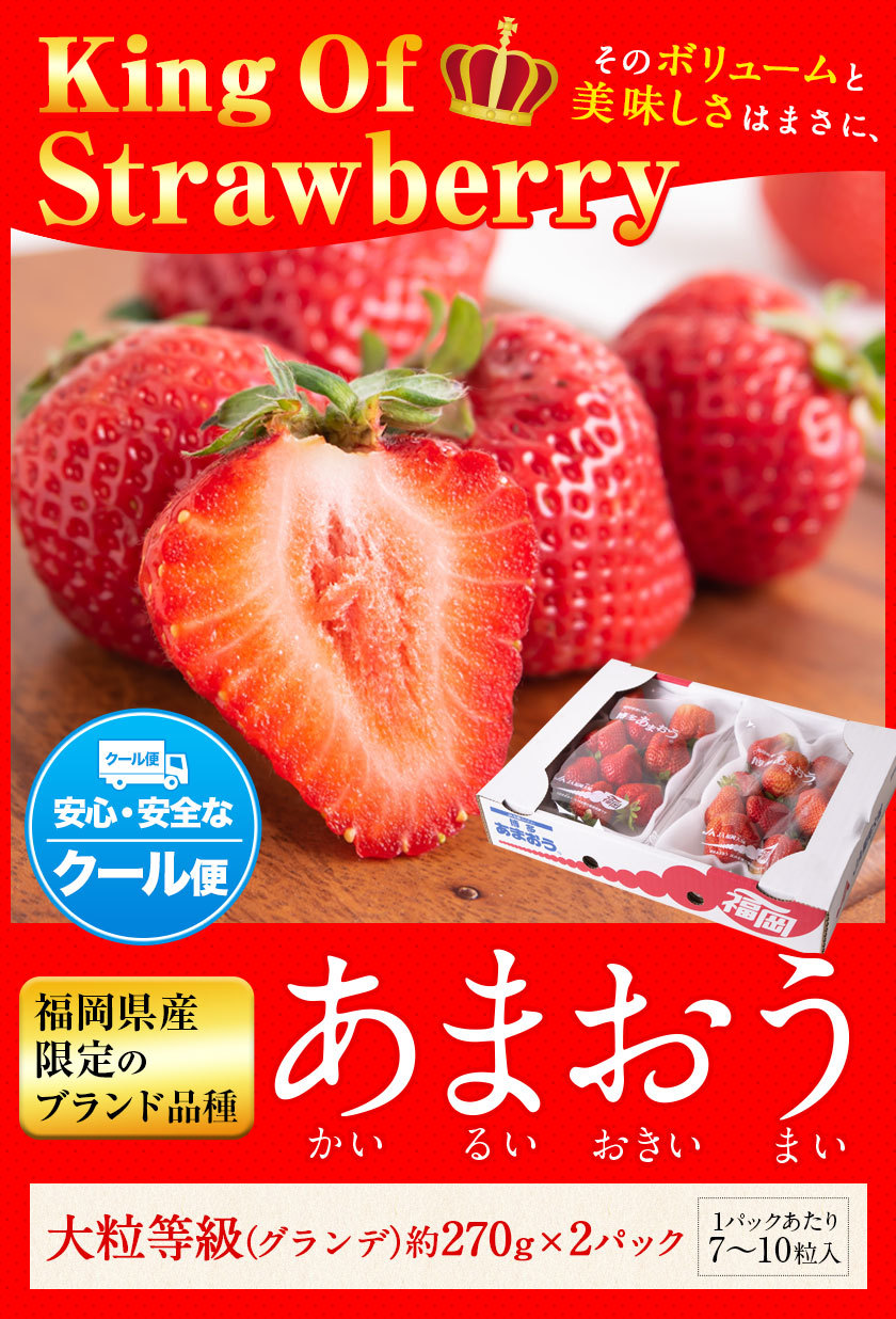 いちご 送料無料 イチゴ 苺 あまおう フルーツ 福岡産 ブランド 品種 大粒等級 約540g(約270g×2パック)  7-14営業日以内に発送予定(土日祝日除く) :amaou-0405:九州風土 - 通販 - Yahoo!ショッピング