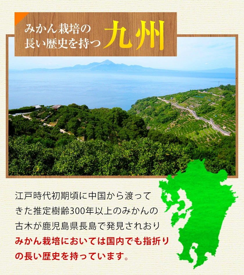 みかん 訳あり 送料無料 2セット購入で1セットおまけ 1セット1.5kg入