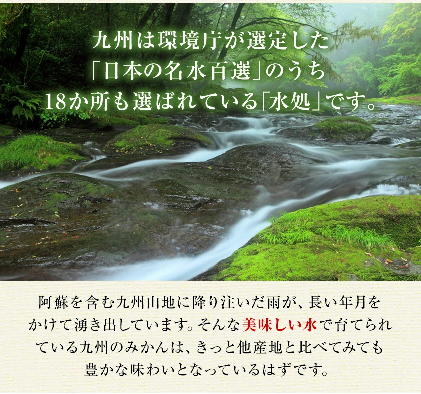 みかん 訳あり 送料無料 2セット購入で1セットおまけ 1セット1.5kg入