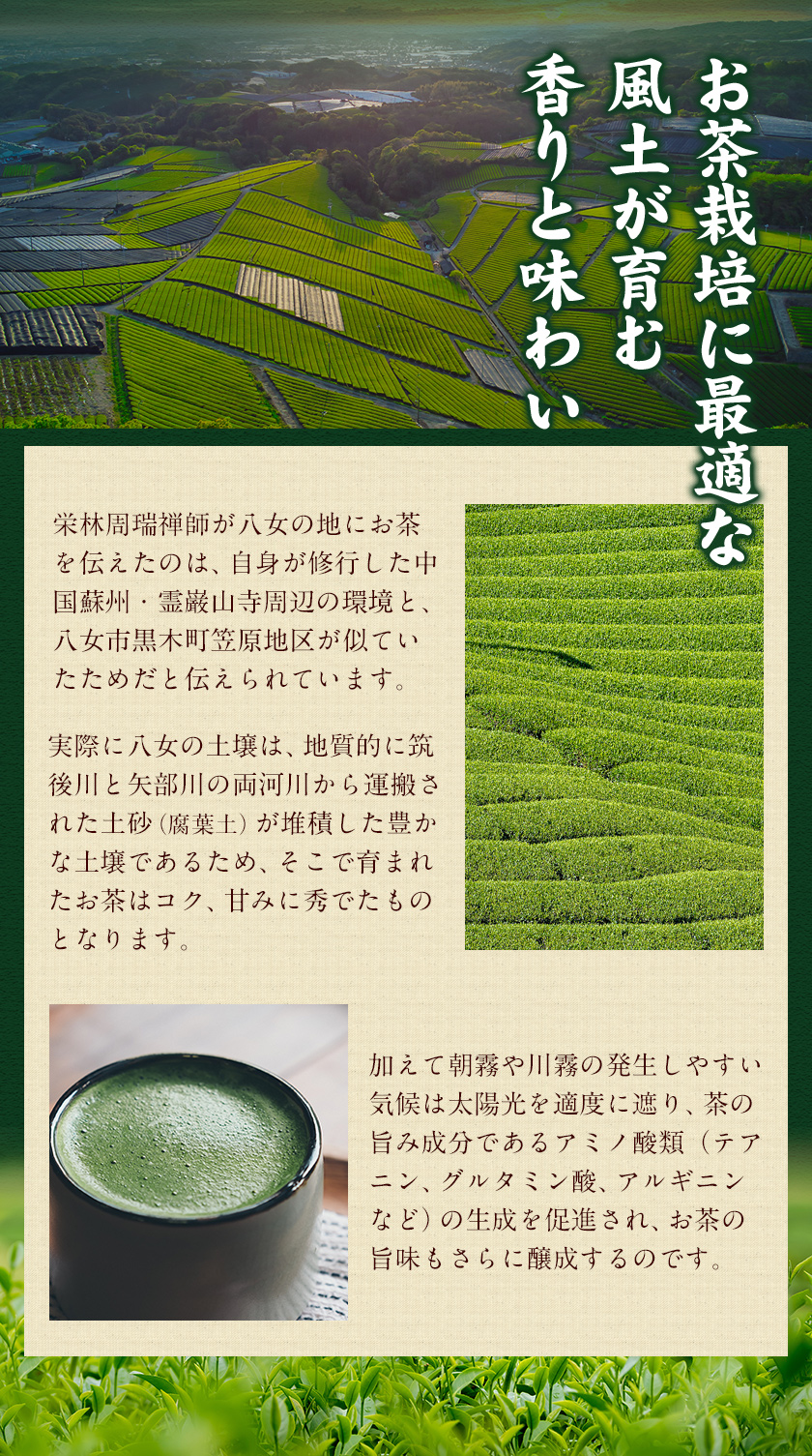 八女抹茶 200g 100g×2袋 送料無料 九州 福岡 八女 産 抹茶 パウダー