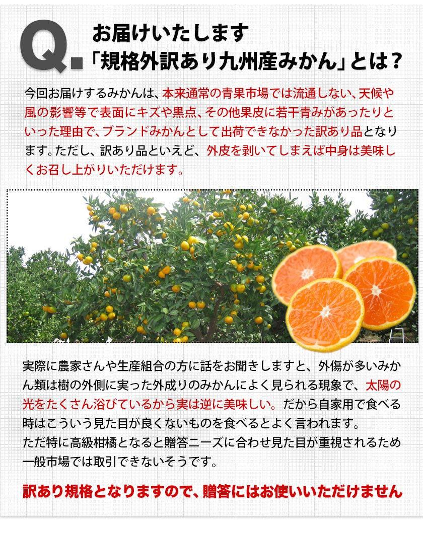 みかん 訳あり 送料無料 2セット購入で1セットおまけ 1セット1.5kg入