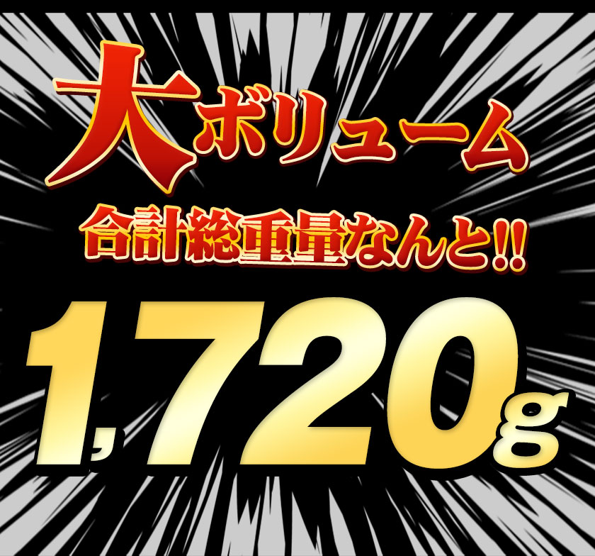 総重量1,720g! お肉5種 バラエティセット 肉 豚肉 鶏肉 ハンバーグ 5種 大容量 福袋 国産《5月中旬頃〜5月下旬頃出荷予定》｜kyushufood｜08