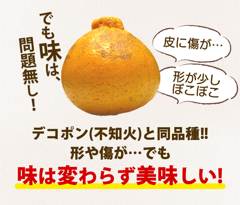 みかん 訳あり 送料無料 デコポン でこぽん 不知火 同品種 デコみかん 2kg お取り寄せフルーツ 柑橘類 柑橘 九州産  4月下旬-5月中旬頃より発送予定