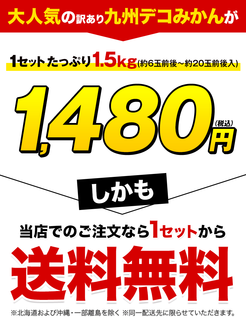 みかん、柑橘類（都道府県で探す：宮崎県）｜フルーツ｜食品 通販