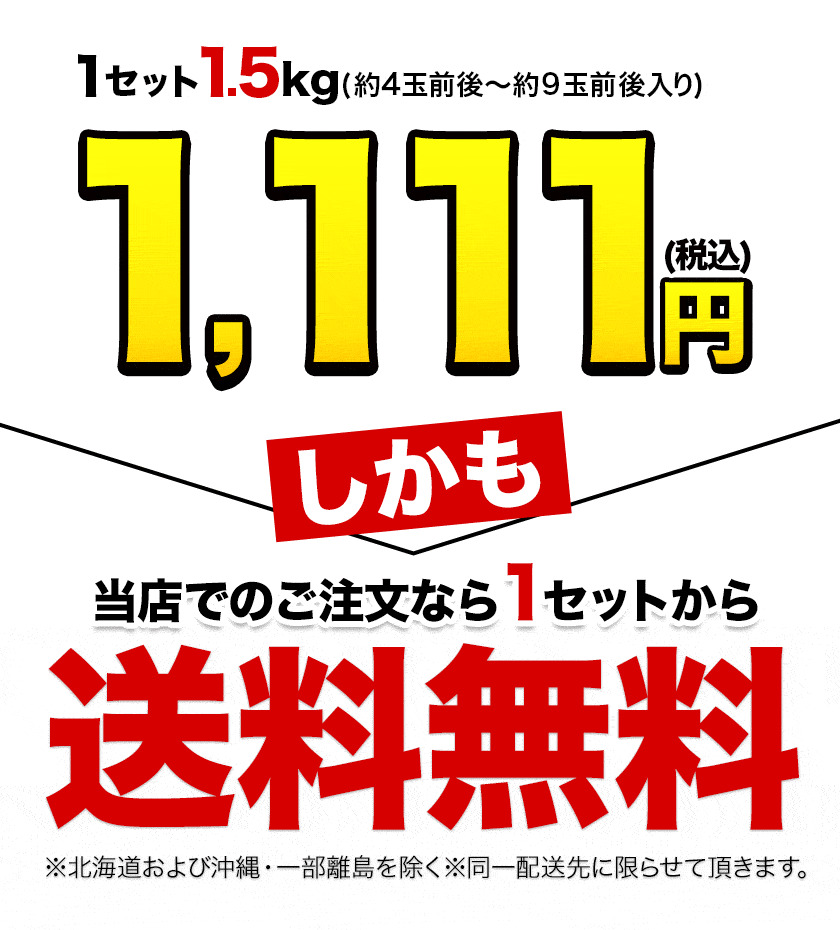 みかん、柑橘類（都道府県で探す：宮崎県）｜フルーツ｜食品 通販