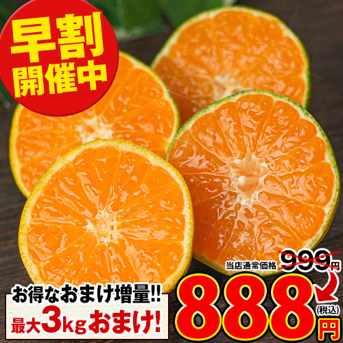 小玉 みかん 訳あり 1kg 送料無料 最大3kgおまけ増量 ミカン